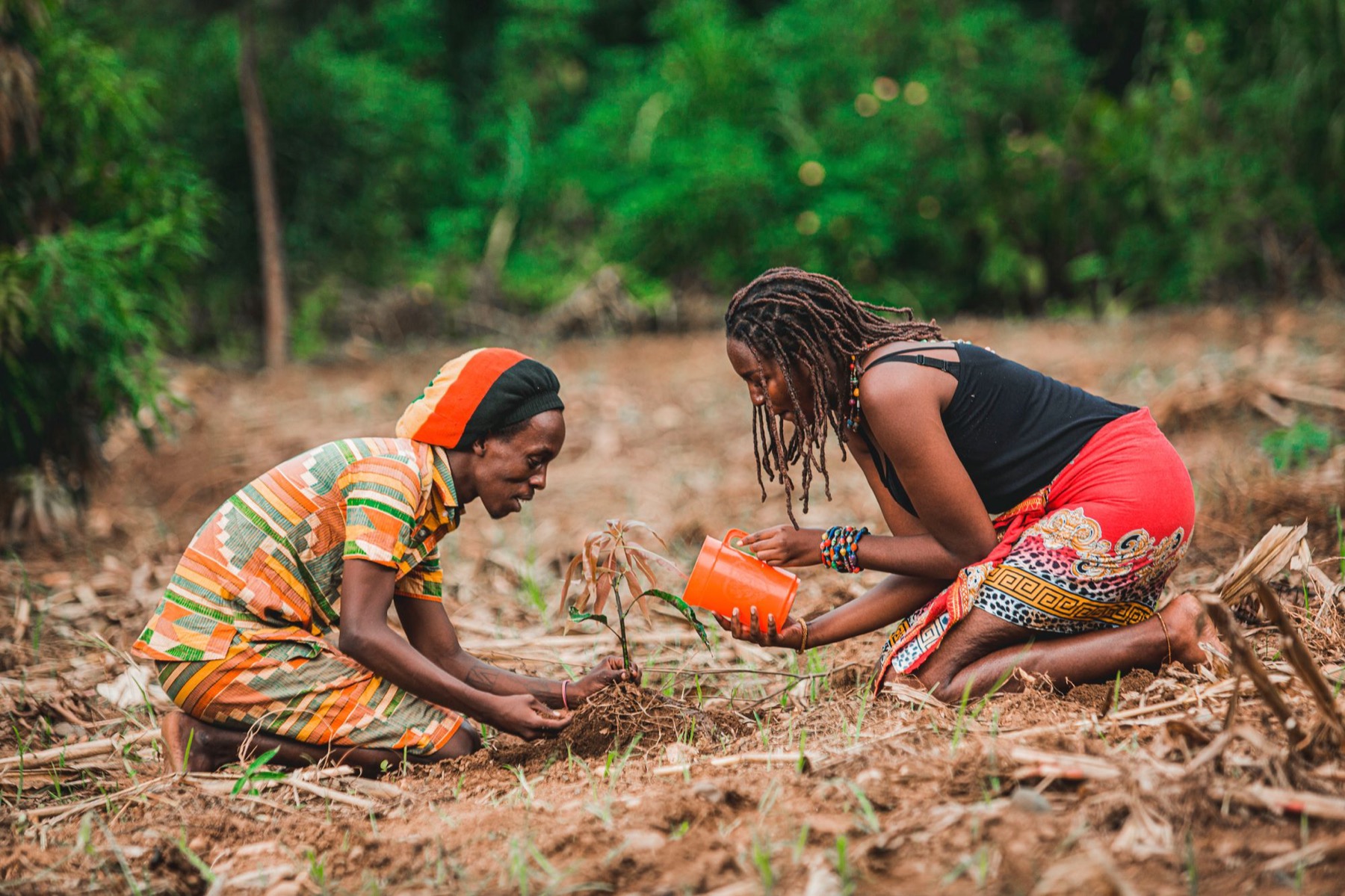 Femmes africaines plantant ensemble, actrices du développement de leur communauté
